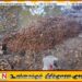 பாடசாலையொன்றிற்கு அருகில் பாரிய அளவில் வெற்றுத் தோட்டாக்கள் மீட்பு
