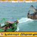 எரிபொருள் இன்றி இலங்கை அனலைத்தீவில் தஞ்சமடைந்த தமிழக மீனவர்கள்