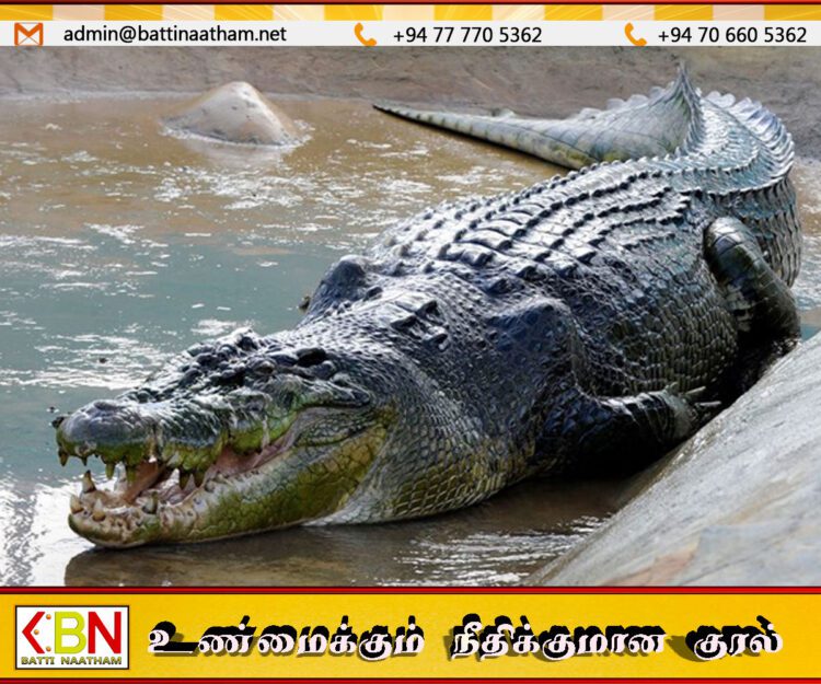 கலமெட்டிய கடற்கரை பகுதியில் முதலை இழுத்துச் சென்ற மீனவர் சடலமாக மீட்பு