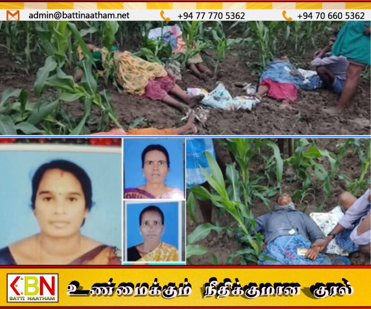 சோளம் தோட்டத்தில் வேலை செய்துகொண்டிருந்த 4 பெண்கள் மின்னல் தாக்கியதில் பலி