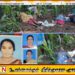 சோளம் தோட்டத்தில் வேலை செய்துகொண்டிருந்த 4 பெண்கள் மின்னல் தாக்கியதில் பலி