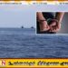 சட்டவிரோத மீன்பிடி நடவடிக்கைகளில் ஈடுபட்ட 45 நபர்கள் கடற்படையினரால் கைது