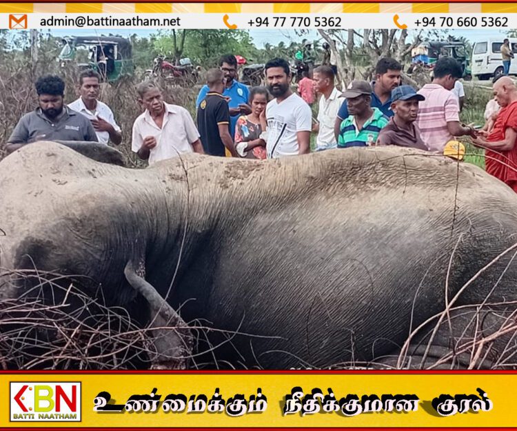 வெலிக்கந்தையில் புகையிரதத்துடன் மோதி யானை உயிரிழப்பு