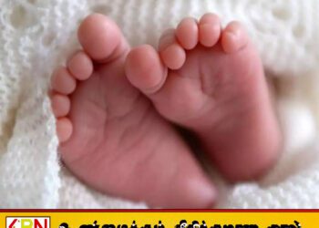 2024 ஆம் ஆண்டில் நாட்டில் பிறப்புகள் 80,945 ஆகக் குறைந்துள்ளதாக பதிவாளர் நாயகம் திணைக்களம் தகவல்