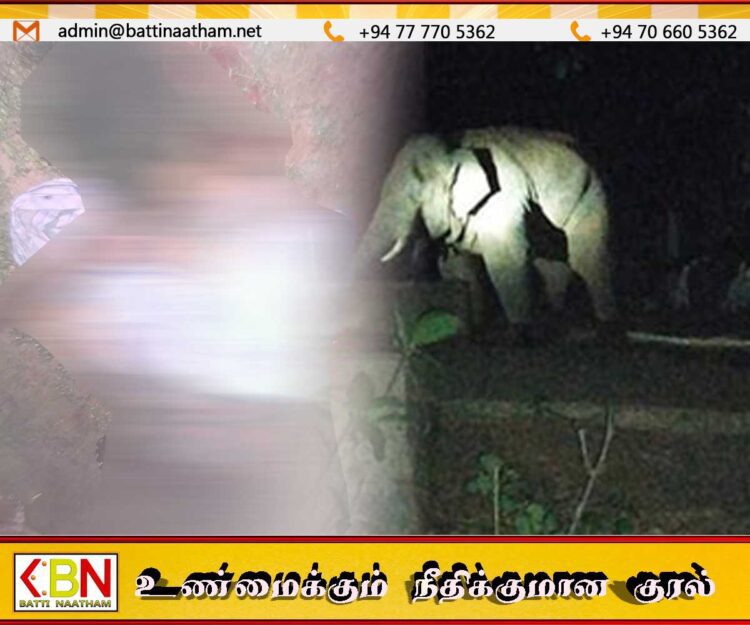 வவுணதீவில் யானை தாக்குதலில் 58 வயது பெண் ஒருவர் உயிரிழப்பு