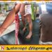 5 வயது சிறுமிக்கு சூடு வைத்து அடித்து சித்திரவதை; மட்டு கொக்கட்டிச்சோலை பொலிஸார் விசாரணை