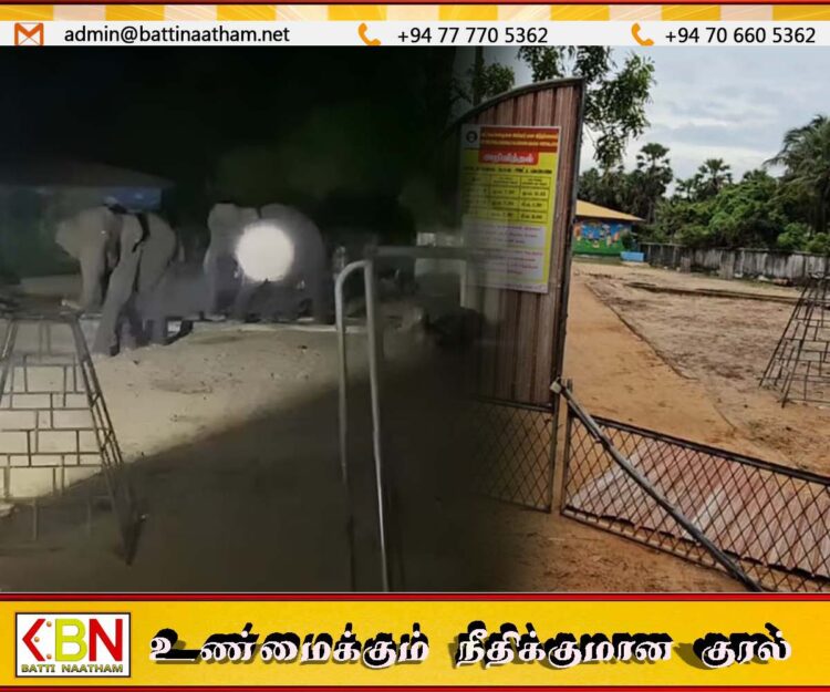 ஆரையம்பதி பகுதிக்குள் நுழைந்த யானைகளால் சேதம்