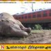 தொடருந்து மோதி யானைகள் உயிரிழந்த வழக்கு; சாரதிக்கு எதிராக சட்டநடவடிக்கை கோரி உயர் நீதிமன்றத்தில் மனு