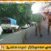 இராணுவப் பேருந்து மோதியத்தில் பொலிஸ் சார்ஜென்ட் உயிரிழப்பு