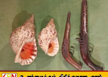 2 துப்பாக்கிகள் மற்றும் 2 வலம்புரிச் சங்குகளுடன் சந்தேக நபர் ஒருவர் விசேட அதிரடிப்படையினரால் கைது