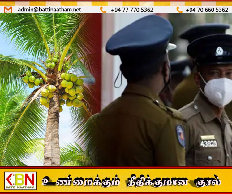 தென்னை மரத்தில் உறங்கிய நபர்; சுமார் ஒரு மணித்தியாலத்தின் பின்னர் மீட்பு
