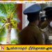 தென்னை மரத்தில் உறங்கிய நபர்; சுமார் ஒரு மணித்தியாலத்தின் பின்னர் மீட்பு