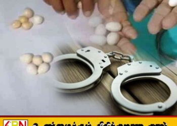 30 கோடி ரூபாவுக்கும் அதிக மதிப்புள்ள கஜமுத்துக்களுடன் ஒருவர் கைது