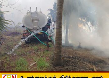 பாசிக்குடா அருகே திடீரென தீப்பற்றிய தனியார் தென்னந்தோப்பு; தீ அணைக்கும் நடவடிக்கையில் இராணுவம்