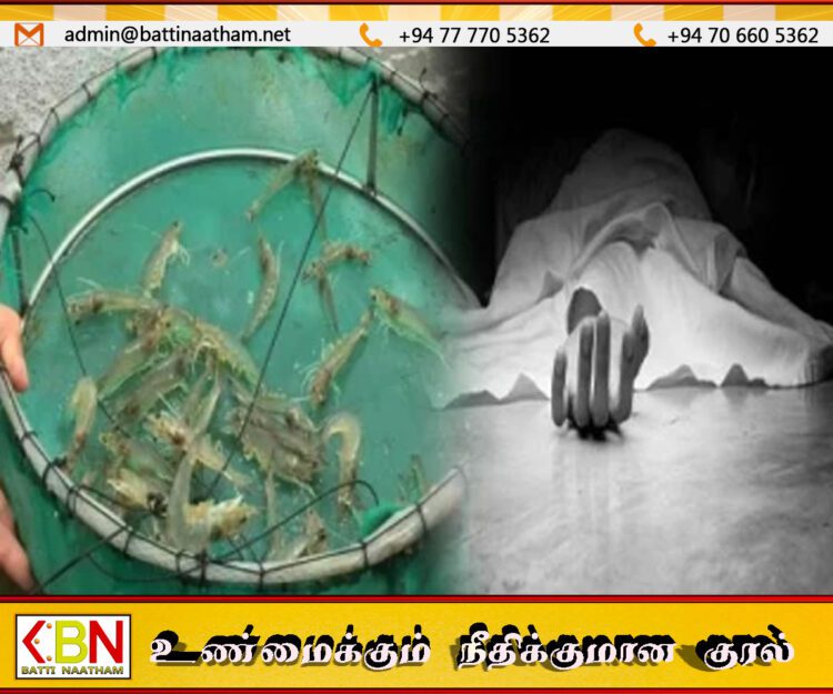 வவுனியாவில் இறால் பண்ணை தண்ணீர் தொட்டியில் விழுந்து இளைஞர் பலி