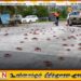 அவுஸ்திரேலியாவில் இலட்சக்கணக்கான சிவப்பு நண்டுகள் வீதிகளை ஆக்கிரமித்ததால் போக்குவரத்து தடை