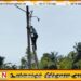 திருக்கோவில் பிரதேச வீதிகளில் மின்விளக்கு பொருத்தும் நடவடிக்கை முன்னெடுப்பு