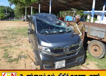 கிரான் பிரதான வீதியில் வாகன விபத்து