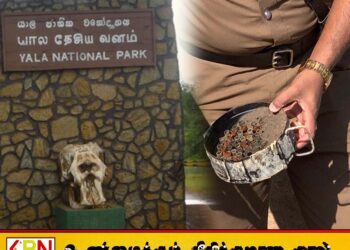 யால சரணாலயத்தில் விசேட தேடுதல் நடவடிக்கை