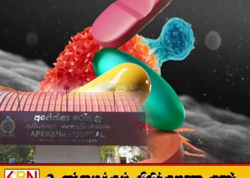 புற்றுநோய் செல்களைக் கொல்லும் ஊட்டச்சத்து மருந்து கண்டுபிடிப்பு