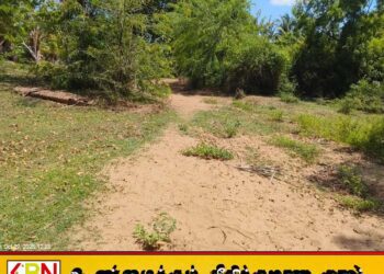வாகரை ஊத்துமடுப் பகுதியில் புதிய பாலம் கட்ட நிதி ஒதுக்கீடு