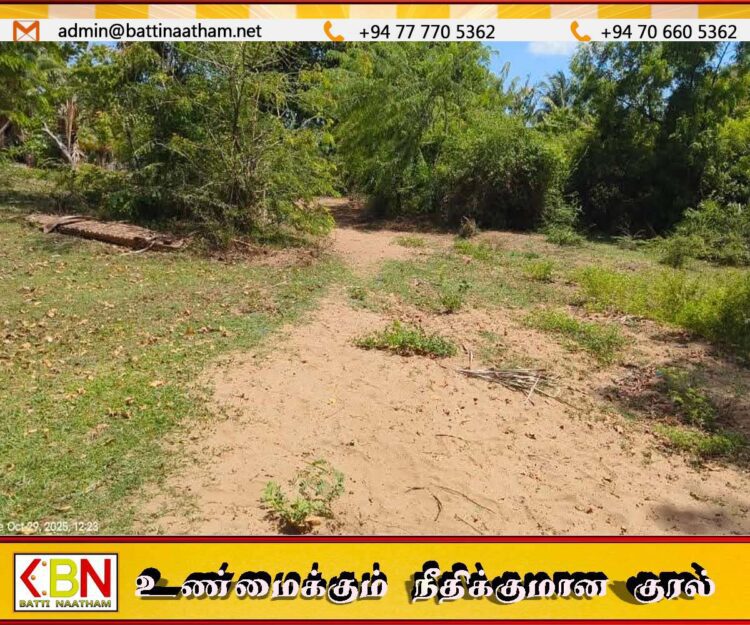 வாகரை ஊத்துமடுப் பகுதியில் புதிய பாலம் கட்ட நிதி ஒதுக்கீடு