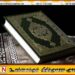 விதிமுறைகளை மீறி இறக்கப்பட்ட அல்குர்ஆன்களை மீள் ஏற்றுமதி செய்ய தீர்மானம்