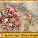 காலநிலை மாற்றத்தின் எதிரொலி?; மட்டக்களப்பில் கரையொதுங்கும் சிவப்பு நிற நண்டுகள்!