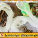அஞ்சல் பெட்டிக்குள் துப்பாக்கி தோட்டாக்கள் மீட்பு