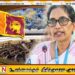 ஐக்கிய நாடுகள் போரவையால் சமர்ப்பிக்கப்பட்ட தீர்மானத்தை நிராகரித்தது இலங்கை அரசாங்கம்