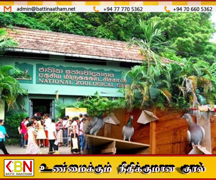 தெஹிவளை தேசிய மிருகக்காட்சிசாலையில் 32 புறாக்கள் திருட்டு