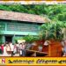 தெஹிவளை தேசிய மிருகக்காட்சிசாலையில் 32 புறாக்கள் திருட்டு