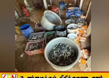 இலங்கைக்கு கடத்தவிருந்த கடல் அட்டைகளை கைப்பற்றிய தமிழக பொலிஸார்