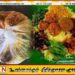 வட மாகாணத்தில் லஞ்சீட் பாவனைக்குத் தடை; மாற்றீடாக வாழை இலை