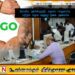 அமைப்புக்கள் சில சமூகப் பாதுகாப்பு அமைச்சின் கீழ் கொண்டுவரப்பட்டது
