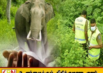 மட்டு கரடியனாறு பகுதியில் யானை தாக்கியதில் 65 வயது விவசாயி உயிரிழப்பு
