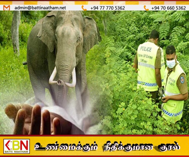 மட்டு கரடியனாறு பகுதியில் யானை தாக்கியதில் 65 வயது விவசாயி உயிரிழப்பு