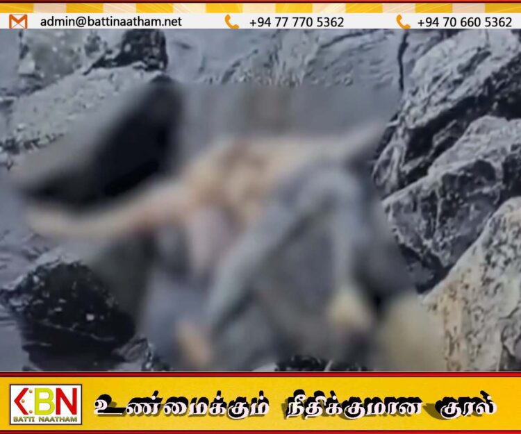 கொழும்பு துறைமுக அதானி முனைய பகுதியில் அடையாளம் தெரியாத சடலம் மீட்பு