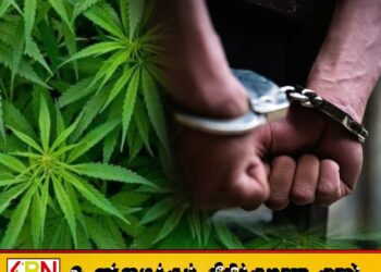வாடகை வீட்டில் கஞ்சா வளர்த்த வெளிநாட்டவர் கைது