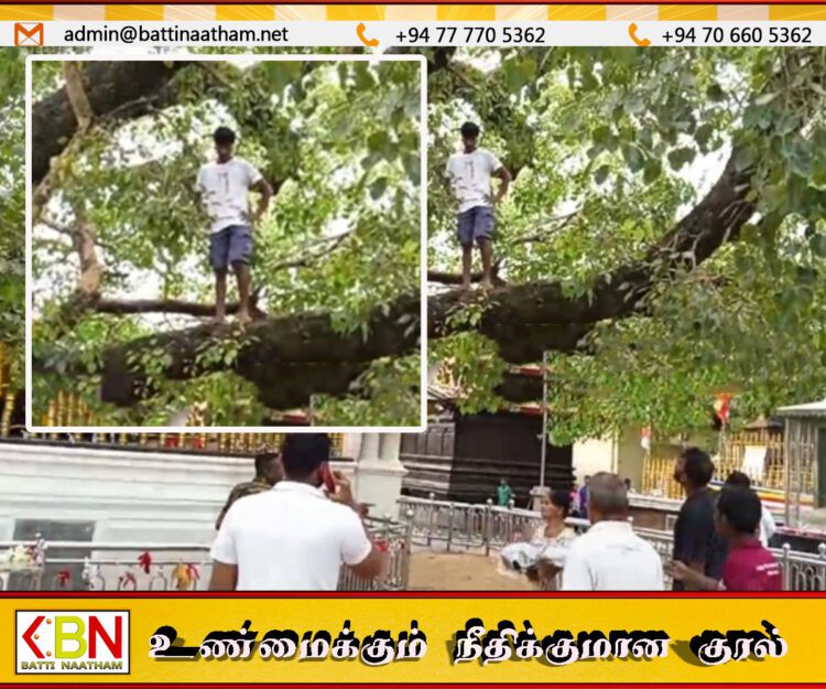 கதிர்காம அரச மரத்தில் ஏறி இடையூறு விளைவித்த இளைஞன் கைது