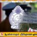 பெரிய நீலாவணை பகுதியில் மறைத்து வைக்கப்பட்ட ரீ-56 துப்பாக்கி மீட்பு