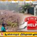 சீரற்ற வானிலை – அவசர நிலைமைகளுக்கு 117 என்ற இலக்கத்திற்கு அழையுங்கள்