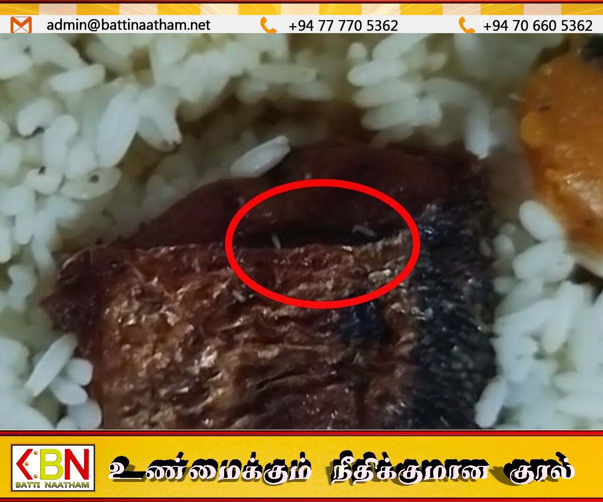முல்லைத்தீவில் உணவகம் ஒன்றில் வாங்கிய சோற்றில் புழுக்கள்