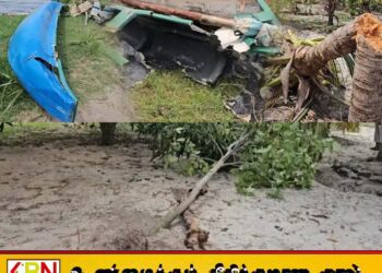 மட்டக்களப்பில் தோணிகளை சேதமாக்கிய யானைகள்
