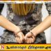 போதைப்பொருள் விற்பனை செய்த பெண்ணொருவர் கைது