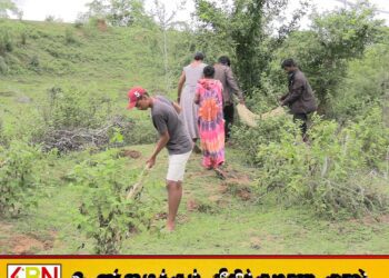 “மாவீரர்களை நினைவுகூரும் மாதம்”;ஆயித்தியமலை பகுதியில் 5000 பனை விதைகளை நடும் செயற்றிட்டம்