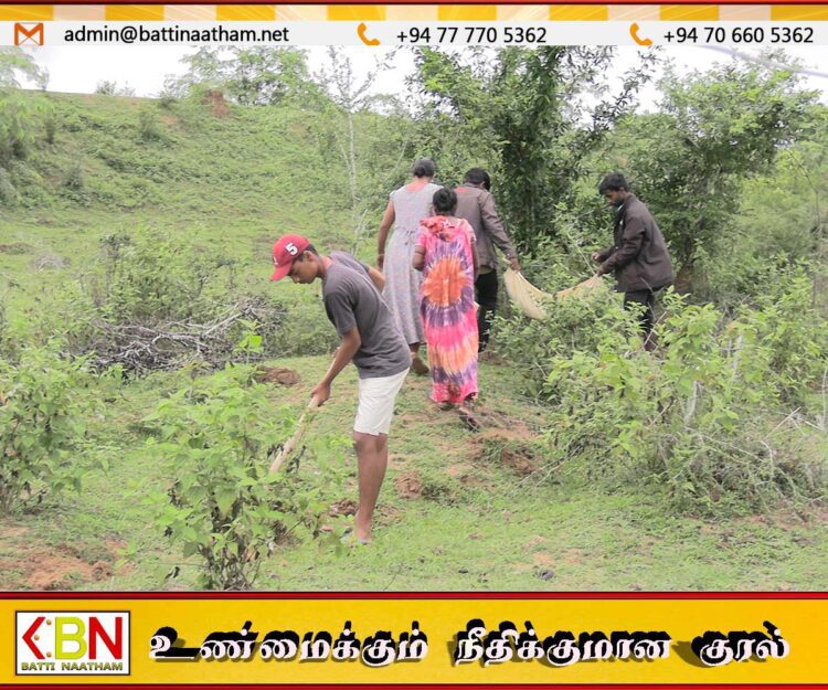 “மாவீரர்களை நினைவுகூரும் மாதம்”;ஆயித்தியமலை பகுதியில் 5000 பனை விதைகளை நடும் செயற்றிட்டம்