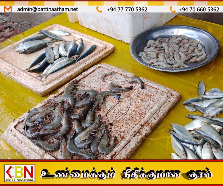 அம்பாறையில் வெள்ள நீரால் பிடிக்கபட்ட அதிகளவான மீன் வகைகள்