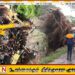 தொடரும் சீரற்ற காலநிலை – உயிரிழப்பு 10 ஆக உயர்வு