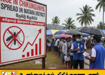 மாத்தறை மாவட்டத்தில் சிக்கன்குனியா நோய் பரவல் அதிகரிப்பு